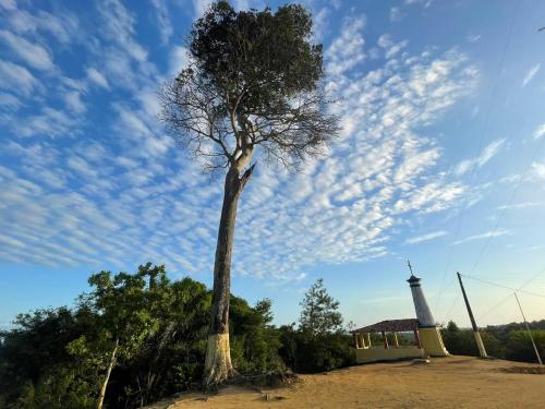 un árbol frente a una iglesia con una torre en Casa Milagres do Porto - Suítes, en São Miguel dos Milagres