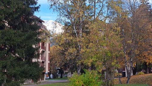 a group of trees in front of a building at MEADOWS Apartment in Ponte di Legno