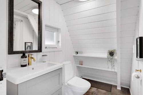 een badkamer met een toilet, een wastafel en een spiegel bij Summer House At Himmerland Golf Resort in Farsø