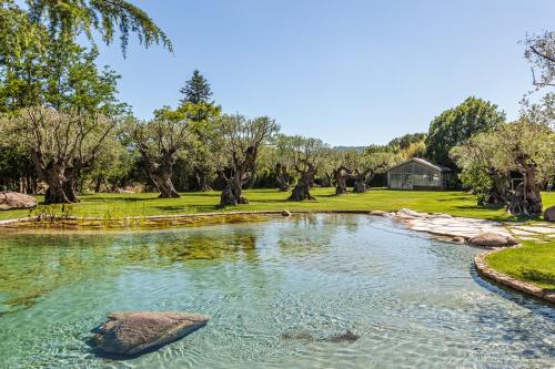 a pond in the middle of a yard with trees at Domaine Les Mésanges in Saint-Tropez