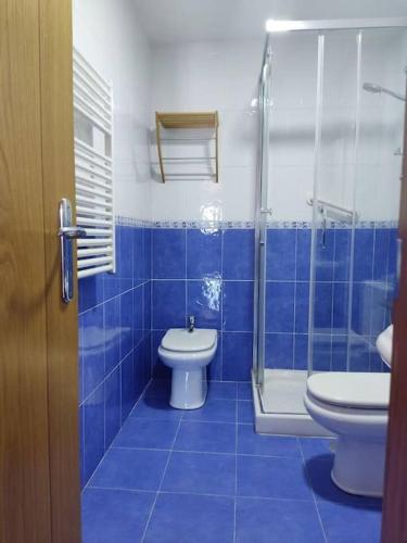 een blauwe betegelde badkamer met een toilet en een douche bij Loft By Vialia in Vigo