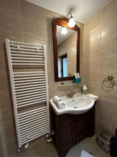 La salle de bains est pourvue d'un lavabo et d'un miroir. dans l'établissement Lucas Duplex, à Azuga