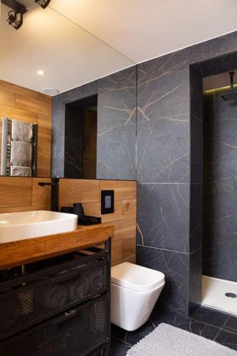 een badkamer met een wastafel, een toilet en een douche bij Apartament Old Street in Zakopane