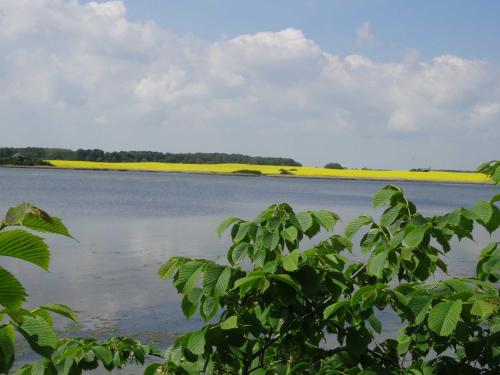 a view of a large body of water at Ferienhaus Urlaub am Meer in Maasholm-Bad