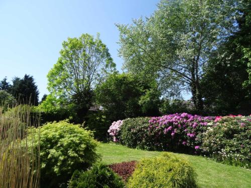 a garden with pink flowers and trees at Ferienhaus Urlaub am Meer in Maasholm-Bad