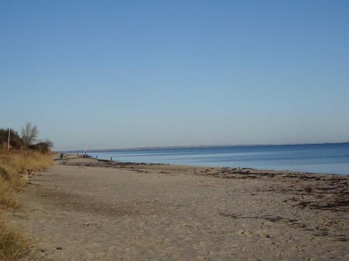 a sandy beach with the ocean in the background at Ferienhaus Urlaub am Meer in Maasholm-Bad