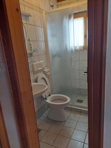 La salle de bains est pourvue de toilettes, d'un lavabo et d'une douche. dans l'établissement Marinčeva zidanica, à Črnomelj