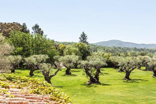 una fila di ulivi in un campo con montagne sullo sfondo di Domaine Les Mésanges a Saint-Tropez