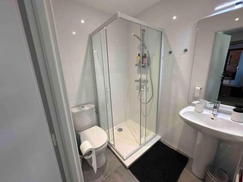 a bathroom with a shower and a toilet and a sink at Appartement Vignes Vienne nord in Vienne