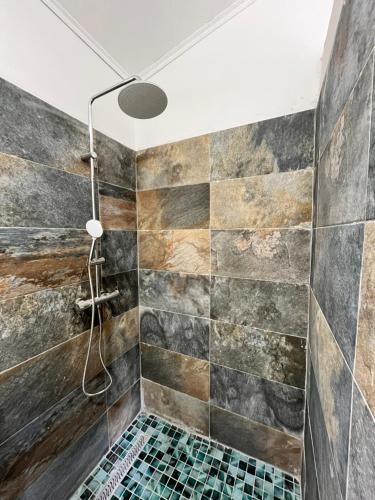 a bathroom with a shower with a tiled wall at La Maison Verte in Le Tampon