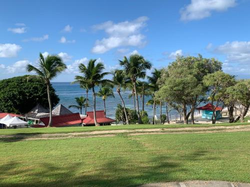 a park with palm trees and the ocean in the background at Le Cocon Créole studio vue mer Village Vacances in Sainte-Anne