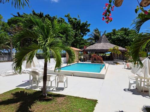 un complejo con una piscina y una palmera en Casa Tina en Jaguaribe