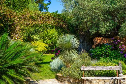 a wooden bench in a garden with plants at Domaine Les Mésanges in Saint-Tropez