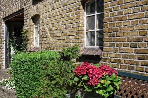 - un bâtiment en briques avec une fenêtre et des fleurs dans une boîte de fenêtre dans l'établissement Ferienwohnung Detjens, à Ellingstedt