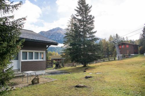 a house with a pine tree in the yard at Ferienhaus Tgantieni Ski-in Ski-out-Lenzerheide in Lenzerheide