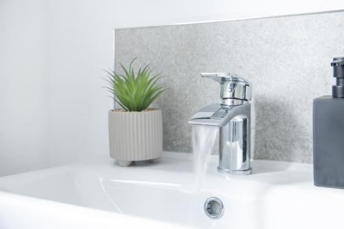 a bathroom sink with a water faucet and a plant at Comfortable 2 Bedroom Home with Secure Parking in Nottingham