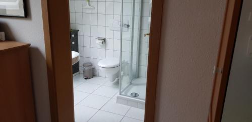 a bathroom with a toilet and a glass shower at Ferienwohnung Helene in Gifhorn