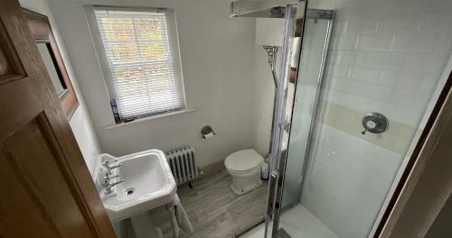 a bathroom with a shower and a sink and a toilet at Newly Renovated stone cottage located 2.5 miles from Killarney Town in Teernaboul