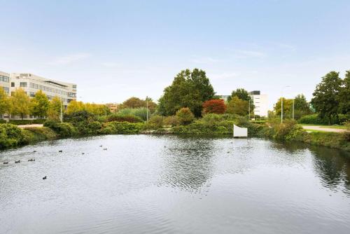 a pond with ducks in the water in a city at Amedia Amsterdam Airport Schiphol, Trademark Collection by Wyndham in Schiphol