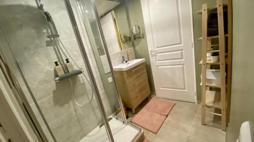 W łazience znajduje się prysznic i umywalka. w obiekcie L'annexe spa du Tropical Lodge w mieście Narbona