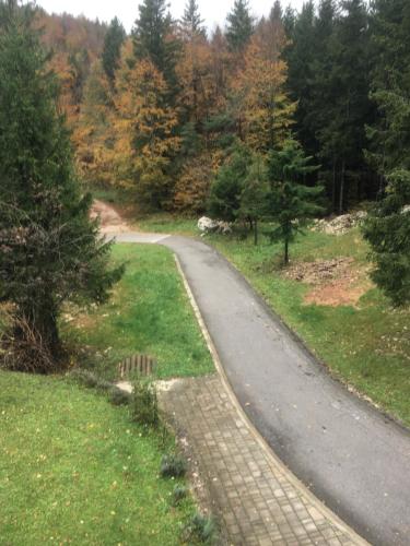 a winding road in the middle of a forest at Apartmaji Velikonja in Ajdovščina