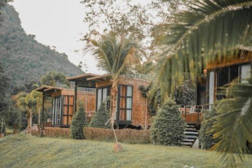 Chiewlan Camp and Resort في Ban Pha Saeng Lang: منزل أمامه نخلة