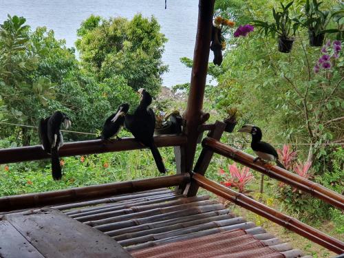 Fotografie z fotogalerie ubytování Littleduck bungalow Koh Chang Ranong v destinaci Ko Chang Ranong
