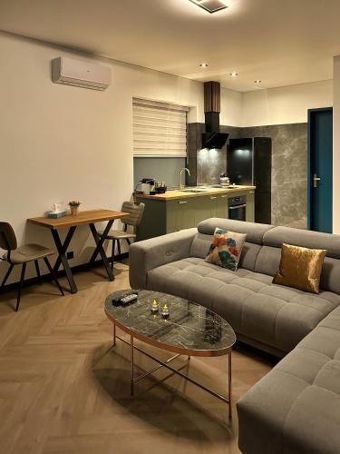 a living room with a couch and a table at Luxe appartement dichtbij centrum C in Drachten