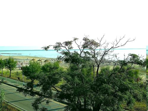 a view of a park with trees and the ocean at Giardino delle Fate in Villa Rosa