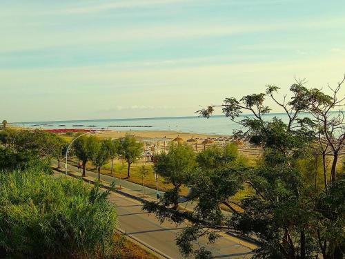 a street with trees and a beach and the ocean at Giardino delle Fate in Villa Rosa