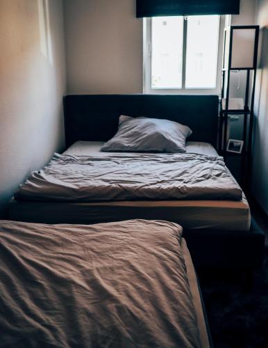 two twin beds in a room with a window at Die Praxis - Wohnen als Therapie in Arnstadt
