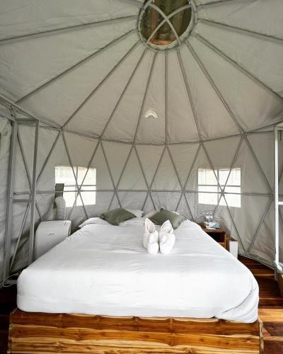 two stuffed animals sitting on a bed in a yurt at ริมว้าริว่า แคมป์ Rimwa Riwa Camp บ่อเกลือ น่าน in Ban Huai Mi