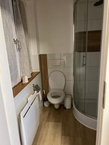 a bathroom with a toilet and a glass shower at Maison letiluca in Hésingue