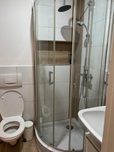W łazience znajduje się prysznic, toaleta i umywalka. w obiekcie Maison letiluca w mieście Hésingue
