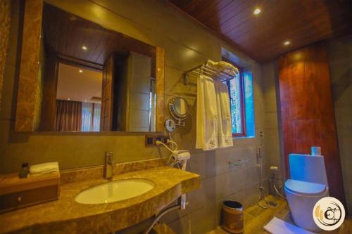 a bathroom with a sink and a mirror and a toilet at Aswadduma Hotel in Dambulla