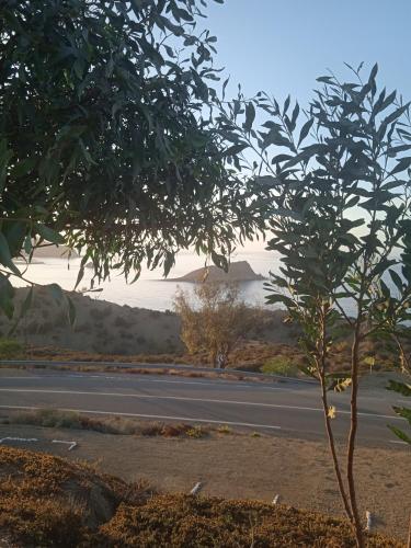 einen Blick auf eine Straße mit einem Baum im Vordergrund in der Unterkunft Plage calairis 