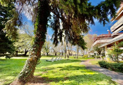 a park with a tree in the grass at Hotel Bella Venezia in Latisana