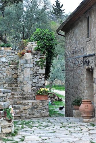 a black cat walking next to a stone building at Agriturismo CasaMatta Azienda Agricola in Calenzano