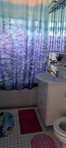 a bathroom with a toilet and a shower curtain at Apartament Eduard in Orşova