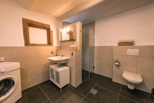 a bathroom with a toilet sink and a washing machine at Günts Lichthaus / Vestscheune in Breuberg