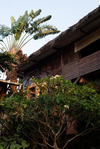 Taman di luar Banana Moon