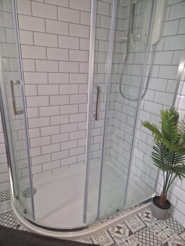 um chuveiro numa casa de banho com um vaso de plantas em The Haven em Beadnell