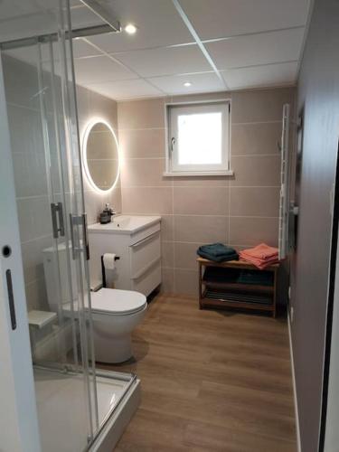 une salle de bain avec toilettes et douche en verre dans l'établissement Gîte le petit wintz entre ville et vignes avec son parking et jardin privatif, à Wintzenheim