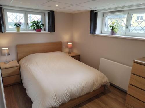 1 Schlafzimmer mit einem weißen Bett und 2 Fenstern in der Unterkunft Gîte le petit wintz 4 personnes avec son jardin privatif - Parking avec borne de recharge pour véhicule électrique 22Kw - 2 vélos in Wintzenheim