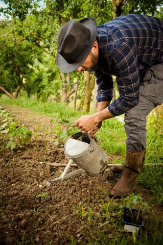 a man in a cowboy hat holding a bucket in the dirt at Agriturismo La Contessa Quarter Horse in Gubbio