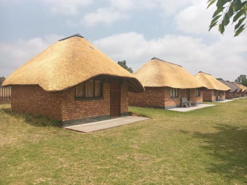 a row of huts with thatched roofs in a field at Pepe Piatto Lodge in Grootvlei