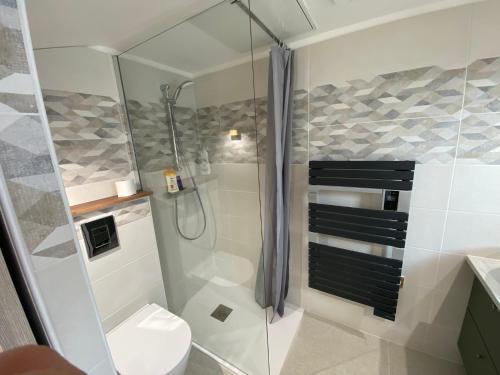 ein Badezimmer mit Dusche und Toilette in der Unterkunft Maison au pied du château + parking privé in Champeix