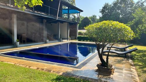 a swimming pool in the yard of a house at Honey Tree Polonnaruwa in Polonnaruwa