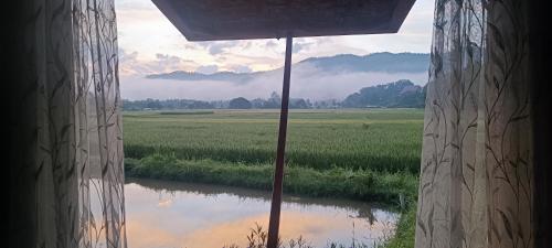 a view of a field from a window with an umbrella at Kaewma farmstay in Ban Khuang Kom