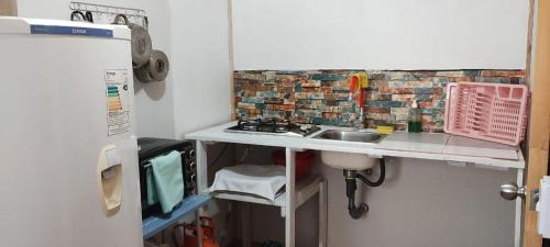 a small kitchen with a sink and a brick wall at DepartamentoVista Queule in Toltén